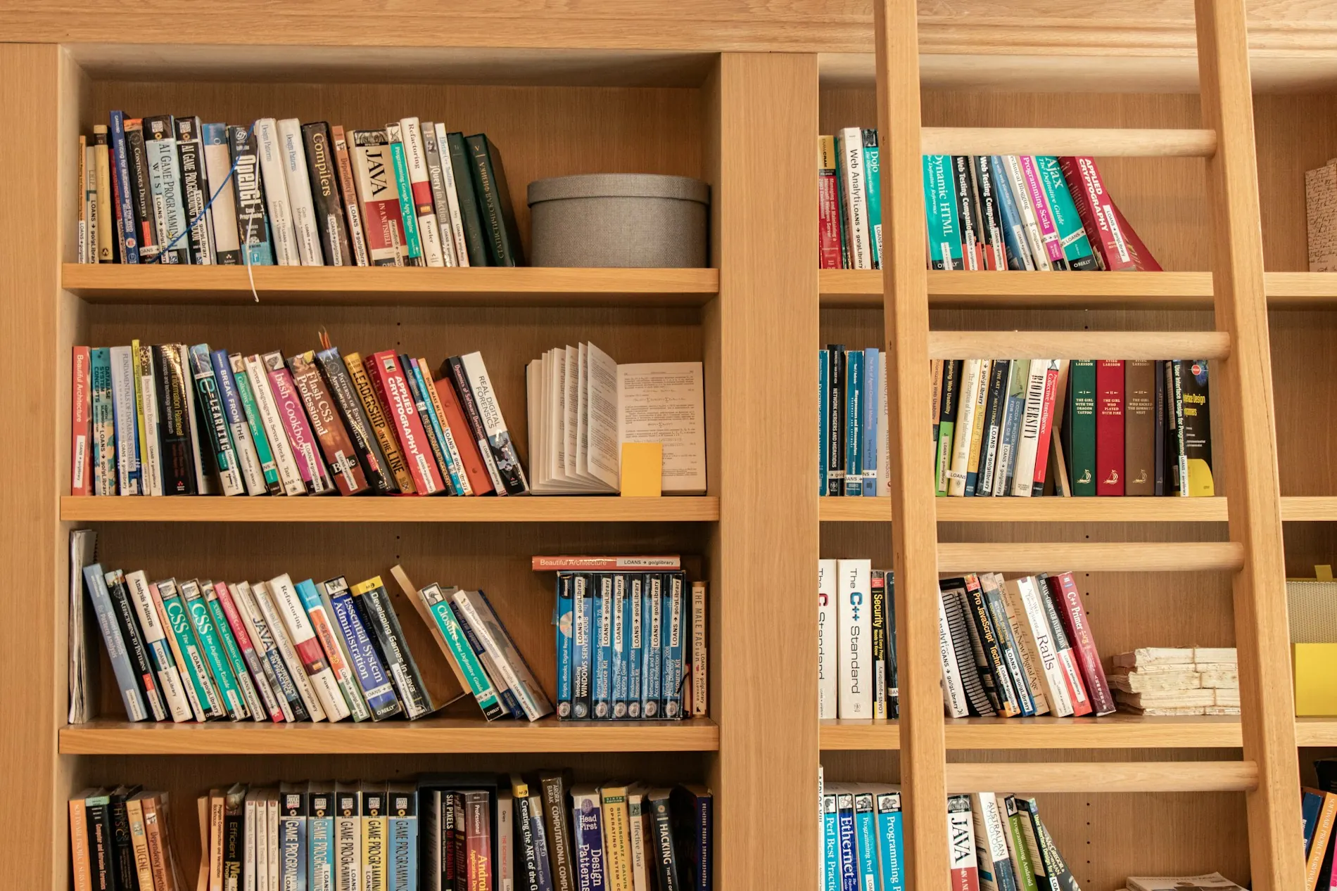 Bibliothèque en bois clair garnie de livres, échelle en bois appuyée contre les étagères.