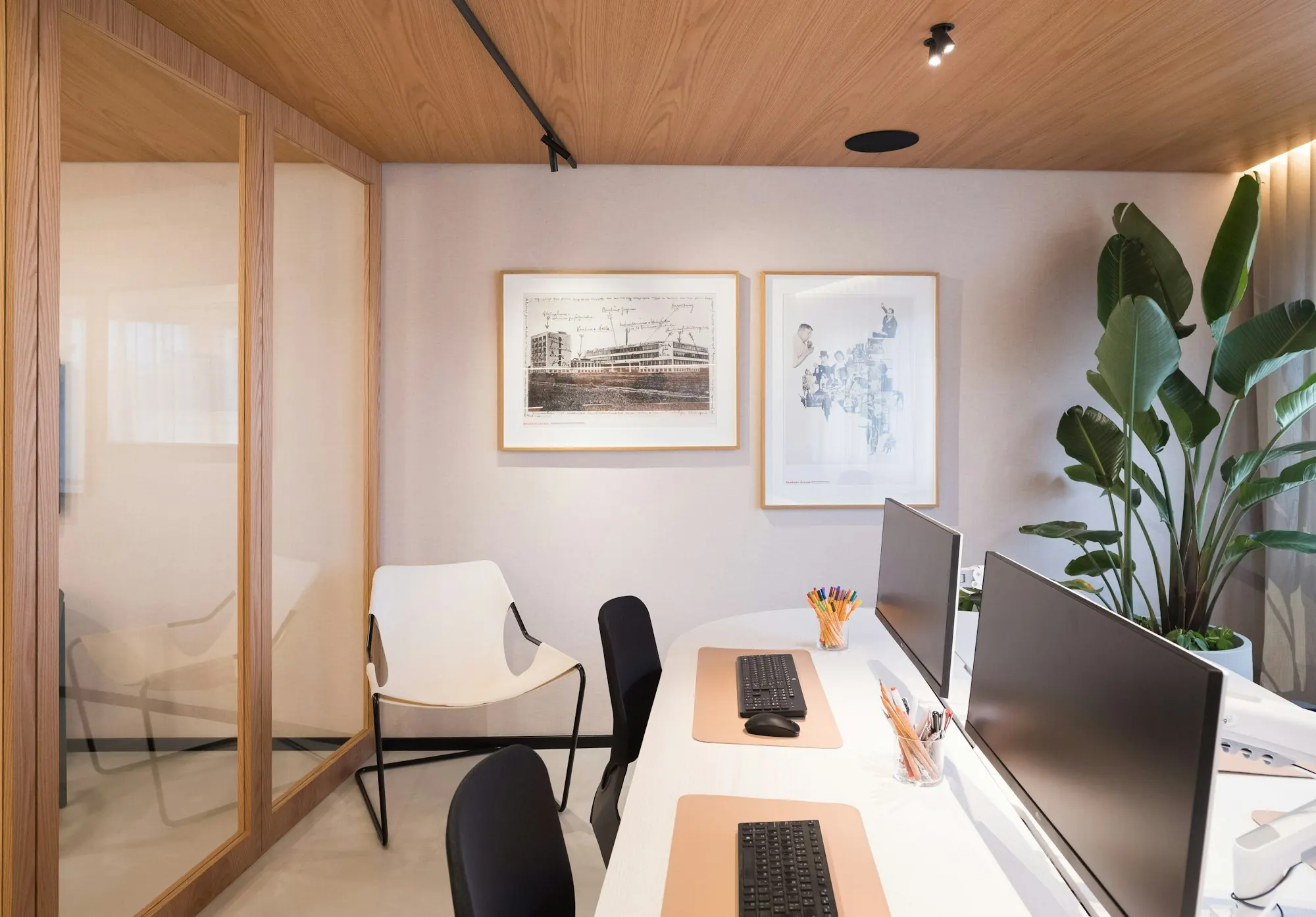 Bureau individuel sous un plafond en bois clair : deux écrans sur un plan blanc, chaise blanche, paroi vitrée et grande plante.