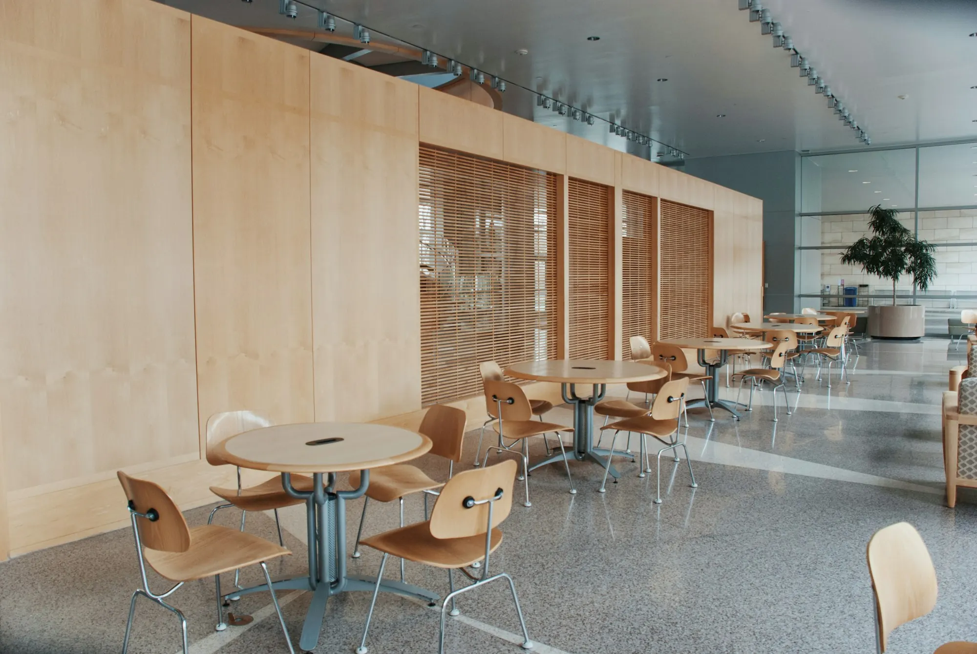 Cafétéria lumineuse : tables rondes et chaises en bois moulé, murs revêtus de bois clair, sol en granito.