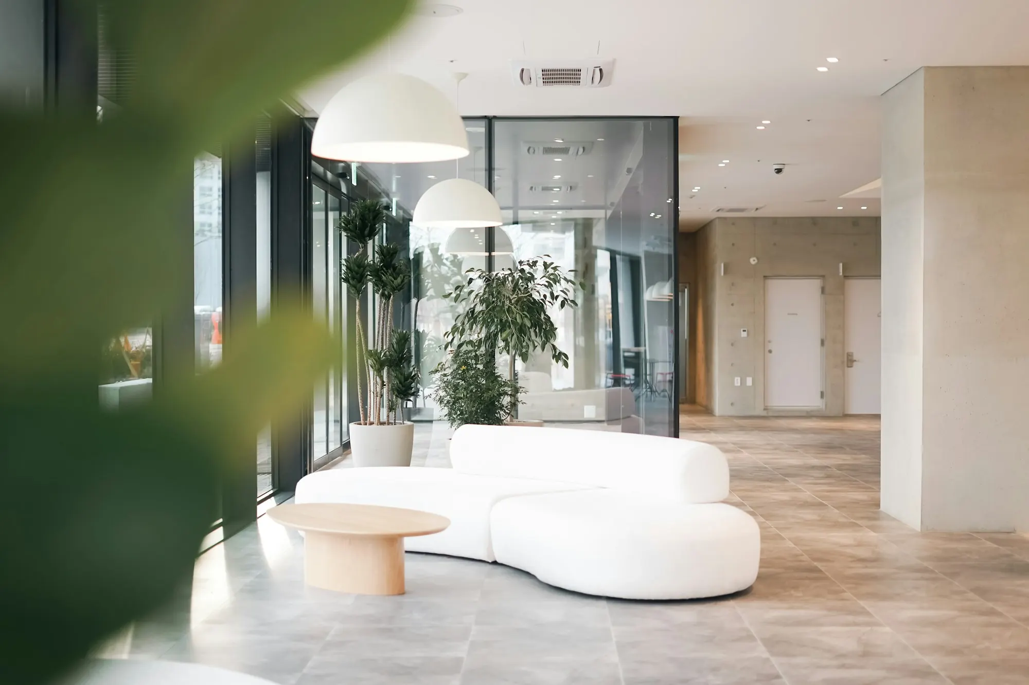 Hall d’accueil lumineux : canapé blanc aux formes arrondies, table basse en bois clair, plantes et façade vitrée.