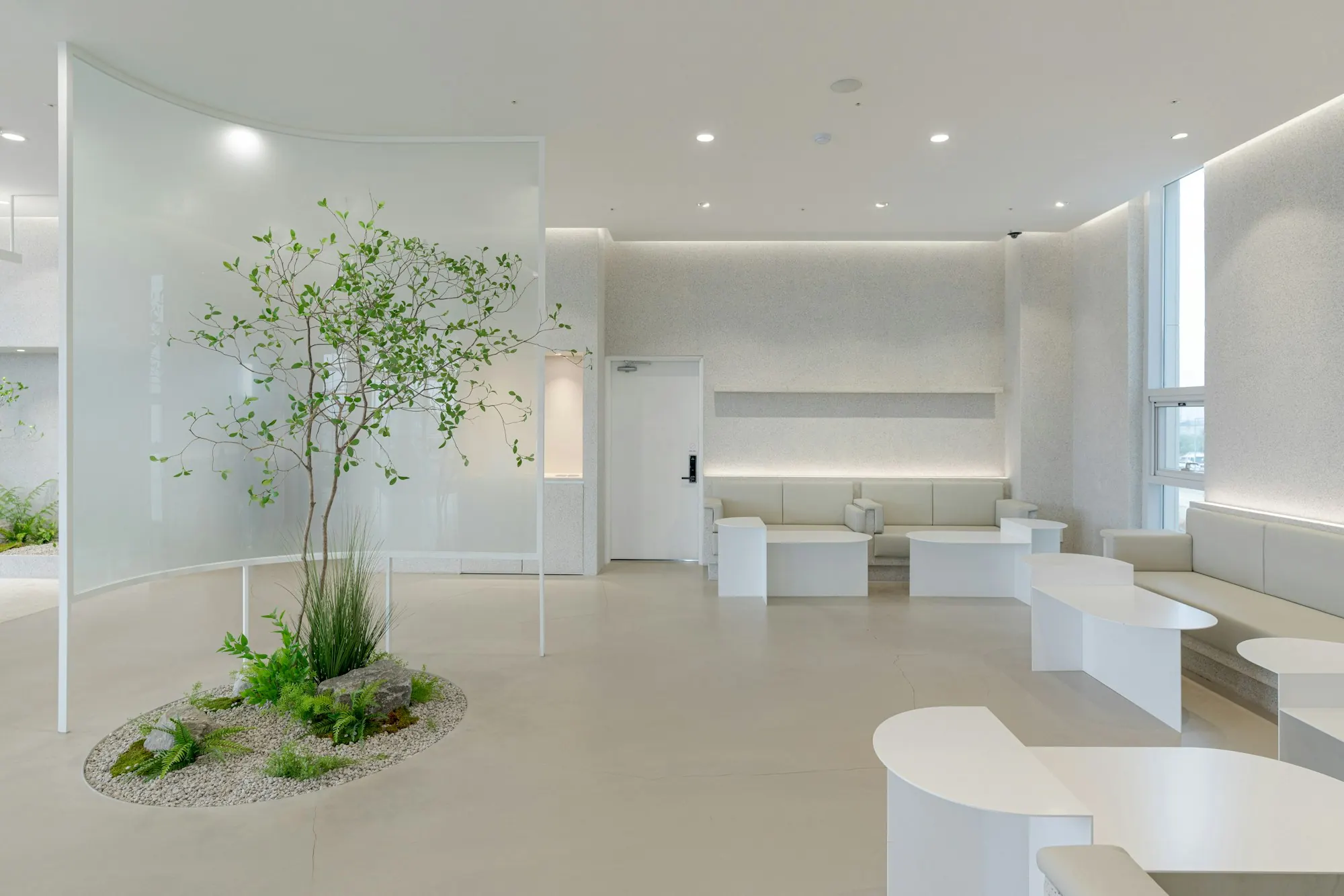 Salle d’attente blanche : banquettes et tables basses aux formes courbes, paroi translucide arrondie, arbre planté.